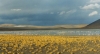 Laguna de Mulas Muertas, Laguna Brava Ramsar - Argentina (Foto: Horacio de la Fuente). Julio 2003