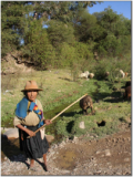 Especialista seleccionado contribuirá a la adaptación de las comunidadesd andina