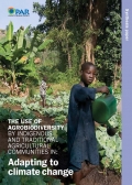 The use of agrobiodiversity by indigenous and traditional agricultural communiti