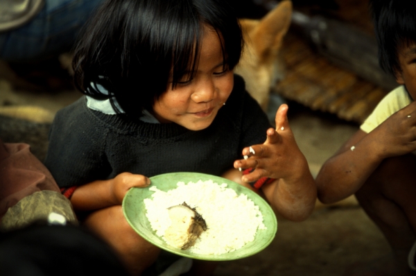 Foto: International Rice Research Institute 